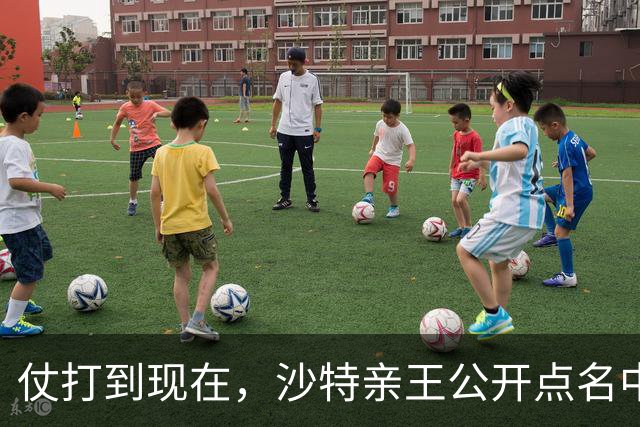 仗打到现在，沙特亲王公开点名中国，希望中方能'多出一份力'？