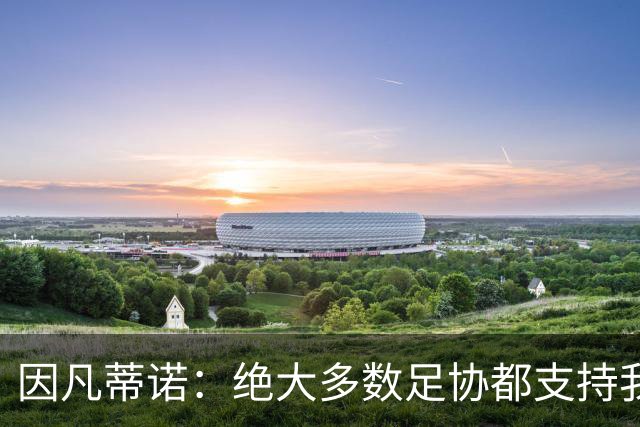 因凡蒂诺：绝大多数足协都支持我，愿意和欧足联继续交流