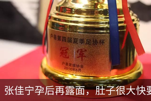 张佳宁孕后再露面，肚子很大快要生了，男方身份成谜“去父留子”