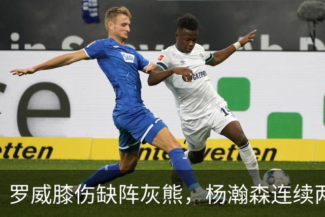 罗威膝伤缺阵灰熊，杨瀚森连续两场未登场后有望迎来机会