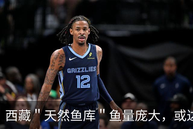 西藏＂天然鱼库＂鱼量庞大，或达2亿公斤？为何人们不进行打捞？