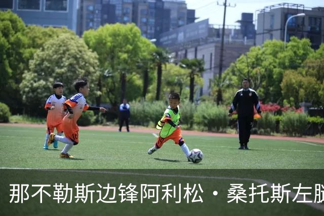 那不勒斯边锋阿利松·桑托斯左腿肌肉中度拉伤，米体：将缺席数周