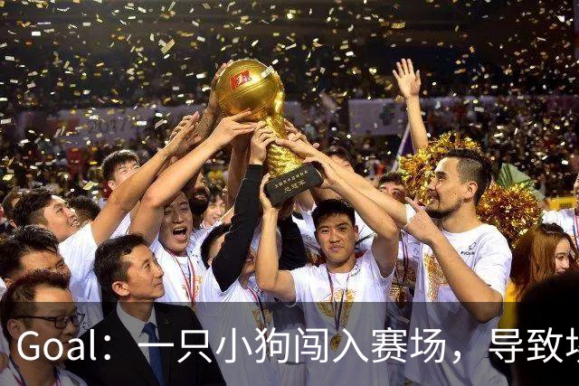 Goal：一只小狗闯入赛场，导致埃及联赛中断